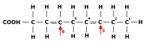 omega 3 omega 6