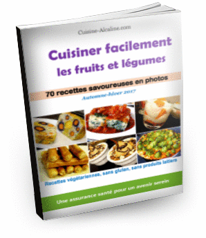 ebook cuisine alcaline