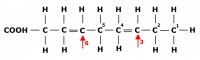 omega 3 omega 6